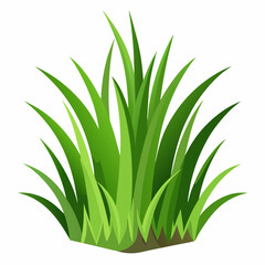 Vibrant Green Grass Tuft Illustration for Design