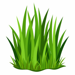 Vibrant Green Grass Blades Illustration for Nature Designs
