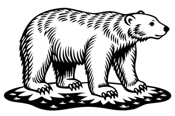 Fototapeta premium Polar bear silhouette on cracked ice side view white background, polar bear, ice, silhouette, cracks, animal, arctic, winter, side view, white background, wildlife, endangered, mammal, vector