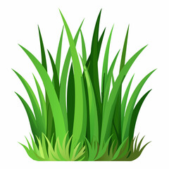 Fototapeta premium Vibrant Green Grass Blades Illustration for Nature Designs