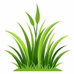Vibrant Green Grass Illustration for Nature Designs