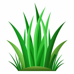 Vibrant Green Grass Blades Illustration Isolated on White
