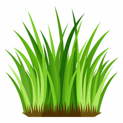 Vibrant Green Grass Blades Illustration for Nature Designs