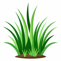 Vibrant Green Grass Tuft Illustration on White Background