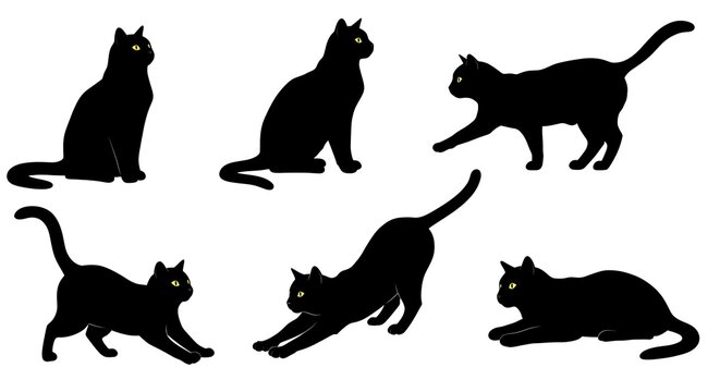 Midnight Feline Poses AI Generated - Powered by Adobe