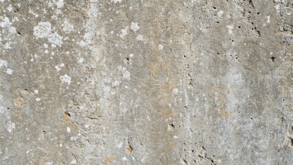 Weathered Texture: An up-close shot reveals a textured, weathered surface, showcasing the subtle details of natural aging and the passage of time. 
