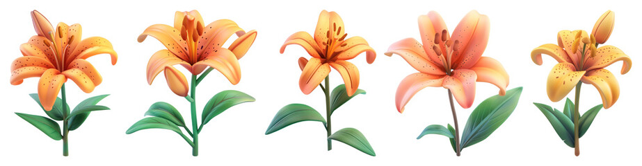PNG Vibrant orange lily flower illustration transparent background.
