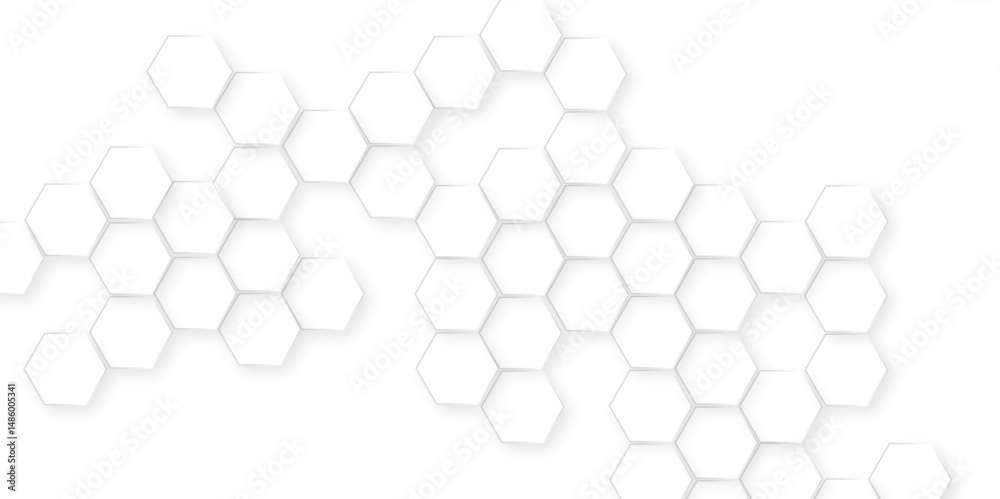 Canvas Prints abstract white and black lines 3d hexagonal, modern abstract vector polygonal pattern, showcasing ge