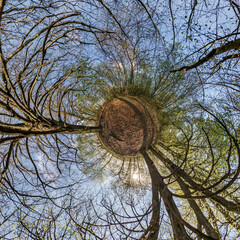 tiny planet transformation of spherical panorama 360 degrees. Spherical abstract aerial view with...