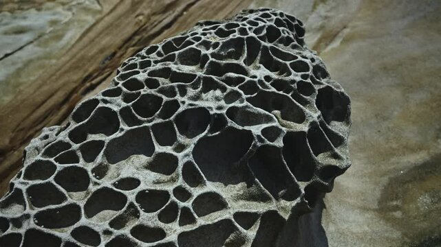 A stunning honeycomb-shaped sandstone texture formed by centuries of water and wind erosion creates nature's sculptural masterpiece.