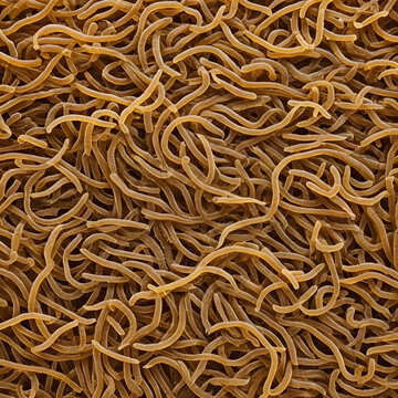 photo of human parasite worms under the microscope