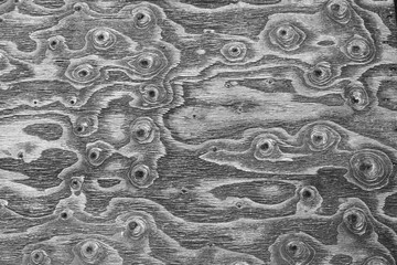 Old wood texture. Abstract background for design. Black and white.