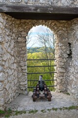 Cannon in the window, Poland