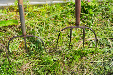 Close-up of two pitchforks at farm at Swiss City of Zurich on a spring day. Photo taken May 16th, 2025, Zurich Schwamendingen, Switzerland.
