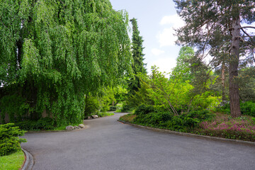 Idyllic scenery with footpath at graveyard at Swiss City of Zürich on a spring day. Photo taken May 16th, 2025, Zurich Schwamendingen, Switzerland.