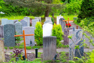 Rear view of tombstones at graveyard at Swiss City of Zürich on a spring day. Photo taken May 16th, 2025, Zurich Schwamendingen, Switzerland.