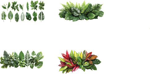 Obraz premium Collection of tropical plant leaves in green and red colors isolated on white