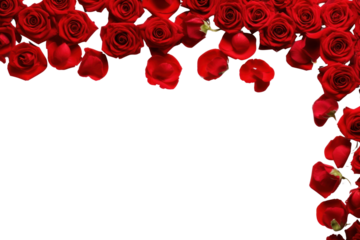 PNG Red rose border flower blossom petal.