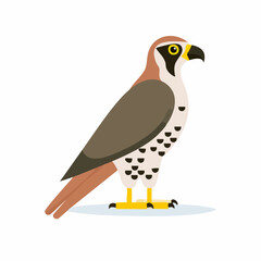 Cute Falcon Vector Illustration in Minimal Flat Style – Simple Bird of Prey Cartoon Design
