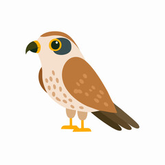 Cute Falcon Vector Illustration in Minimal Flat Style – Simple Bird of Prey Cartoon Design