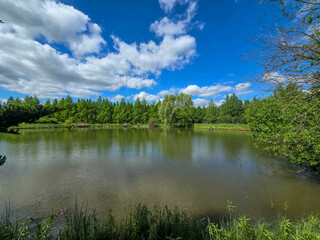 Serene Lake Landscape on a Sunny Day Nature s Tranquility