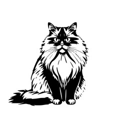 Longhair Cat Portrait: A striking monochrome ink illustration depicts a fluffy longhair cat with intense gaze, showcasing its luxurious fur and elegant posture.