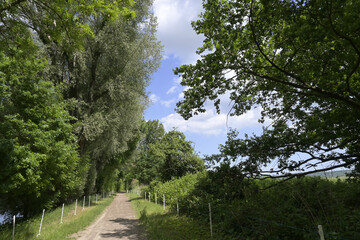 wanderweg
