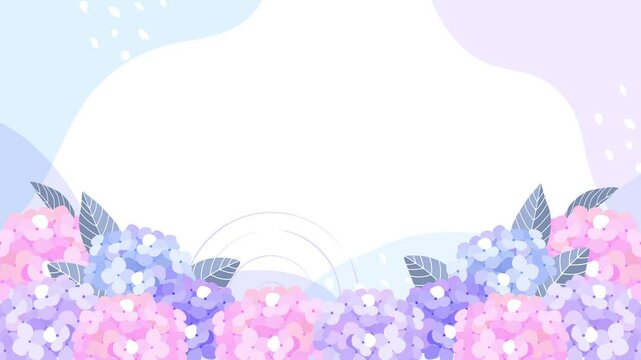 紫陽花のイラストのループ動画