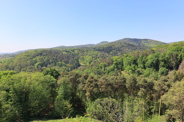 Fototapeta premium Blick über den Pfälzer-Wald bei Bad Bergzabern