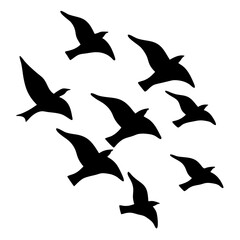 Silhouette of birds flying in formation creating a sense of freedom and harmony