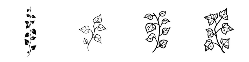 Obraz premium Elegant vector illustrations of climbing plants with detailed leaves and vines designed for decorative purposes in various contexts