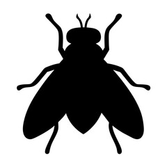Simple black silhouette of a fly against a white background creating contrast