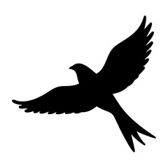 Black Silhouette of a Bird Soaring Freely in the Sky with Extended Wings