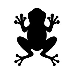 Silhouette of a black tree frog with bulbous toe pads isolated