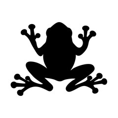 High Contrast Silhouette of a Tree Frog with Toes Pointed Outward