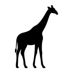 Striking black silhouette of a majestic giraffe against a pristine white backdrop