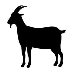 Silhouette of a domestic goat, an artiodactyl mammal of the Bovidae family