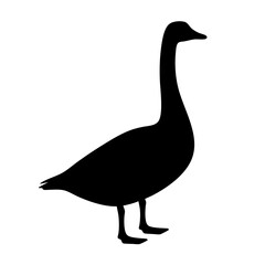 Black silhouette of a goose standing in profile on a white background