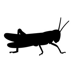 A detailed black silhouette of a grasshopper against a plain white background