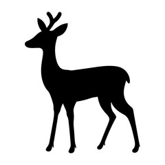 Silhouette of a deer with small antlers standing isolated on white background