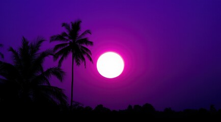 Silhouette of palm trees under a vibrant pink sunset, creating a tropical, exotic scenery.