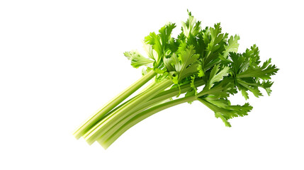 A bunch of fresh celery stalks with green leaves isolated on a transparent background in bright lighting