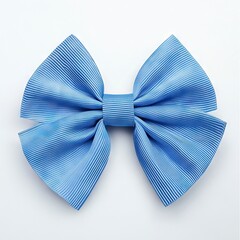 Photo of blue bow Isolated on white background