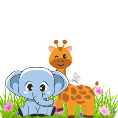 Elephant and giraffe white background