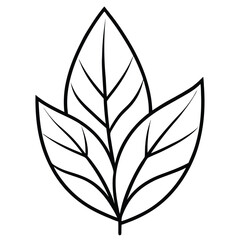 Abstract Leaf Pattern Illustration line art vector