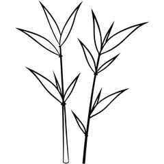 Bamboo Leaves on Stalk Botanical Design line art vector