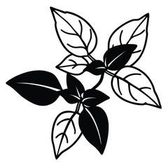 Basil Leaf Cluster Drawing line art vector