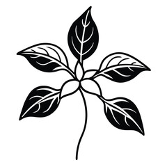 Basil Leaves with Rounded Shape line art vector