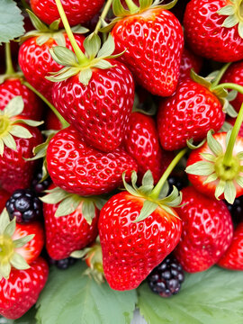Naklejki Fresh juicy berries. Organic strawberries of unusual shape. Trendy ugly fruits