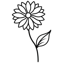 Calendula Flower Line Illustration line art vector